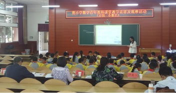 要有,扎實(shí),基礎知識,教師