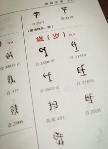 甲骨文,基礎知識,研究