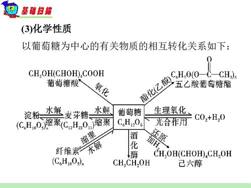 化學(xué)5-8單元基礎(chǔ)知識(shí)檢測(cè)