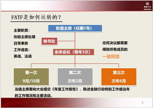 賬戶(hù)管理及反洗錢(qián)基礎知識