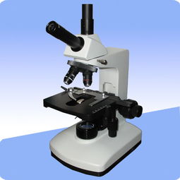 生物顯微鏡的基礎知識