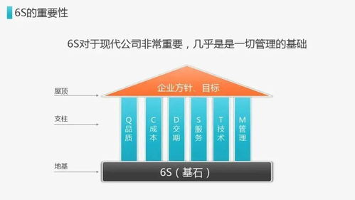 新民化纖6s基礎知識