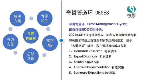 基礎知識,企業(yè)