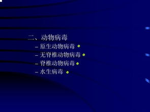 病毒學(xué)基礎知識講解