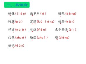 人教版四年級上冊語(yǔ)文基礎知識,人教版五年級下冊語(yǔ)文基礎知識歸納,人教版四年級上冊語(yǔ)文基礎知識專(zhuān)項