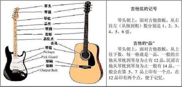 吉他弦基礎知識