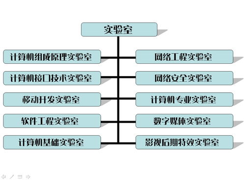 計算機專(zhuān)業(yè)軟件基礎知識