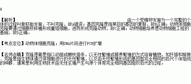 動(dòng)物的克隆基礎知識