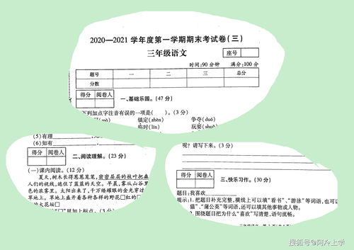 三級學(xué)生知識基礎現狀分析
