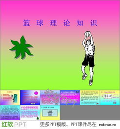 最新籃球基礎知識ppt課件