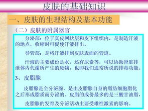 基礎知識,皮膚,最新