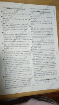 基礎知識,語(yǔ)文,答案