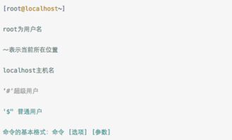 linux基礎知識100題