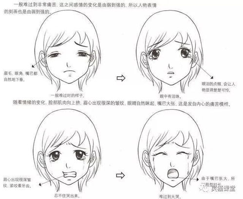 面部畫(huà)法基礎知識