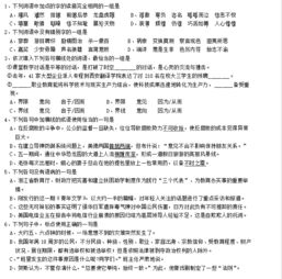 高考語(yǔ)文基礎知識訓練營(yíng)