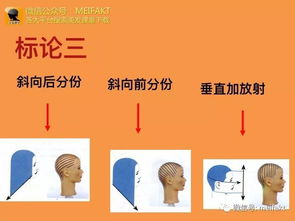 燙發(fā)原理基礎知識,剪發(fā)理論基礎知識,汽車(chē)原理基礎知識