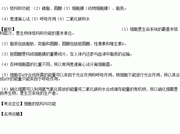 藥化基礎知識填空