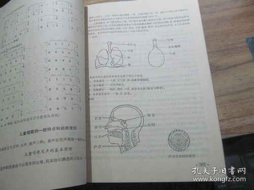 音樂基礎(chǔ)知識問卷