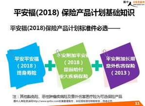 平安福18基礎知識講解