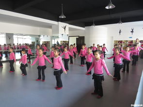 幼兒舞蹈教學(xué)基礎知識