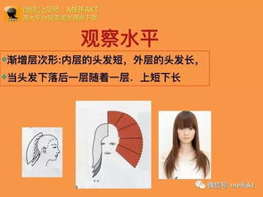 理發(fā)基礎知識大全
