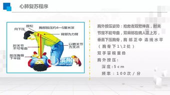 常規急救基礎知識,急救基礎知識考試試題,中學(xué)生急救基礎知識