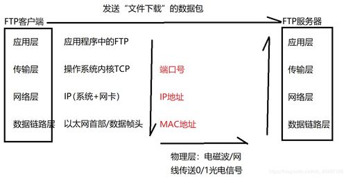 網(wǎng)絡(luò )基礎知識有那幾塊