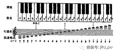 樂(lè )譜基礎知識低音