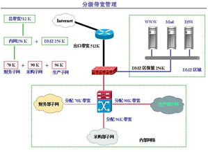 病毒基礎知識