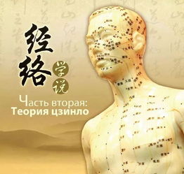 十二經(jīng)絡(luò )的基礎知識和調理