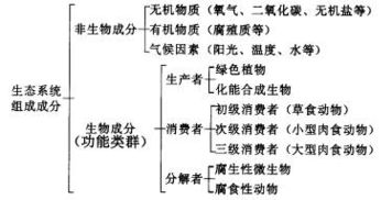 生物系統的營(yíng)養結構基礎知識