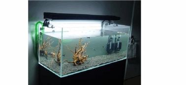 魚(yú)缸基礎知識