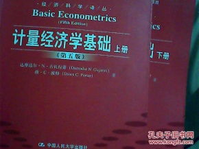 計量經(jīng)濟學(xué)基礎知識要點(diǎn)
