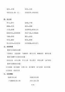 四級,人教版,基礎知識