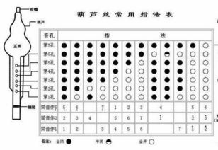 葫蘆絲樂(lè )理基礎知識符號