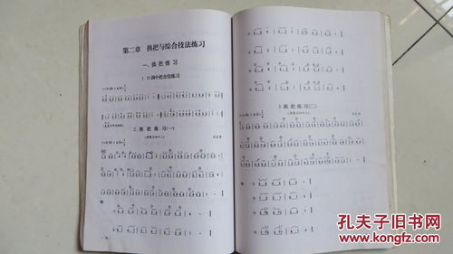 二胡基礎知識教學(xué)