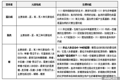 體育教師基礎基本知識