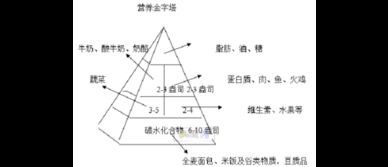 尊巴健身基礎理論知識