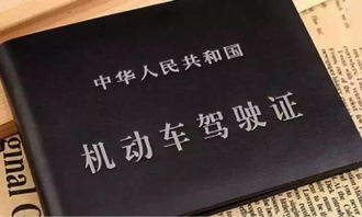 駕照科一基礎(chǔ)知識(shí)