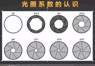 單反攝影入門(mén)基礎知識,單反使用基礎知識,單反入門(mén)基礎知識