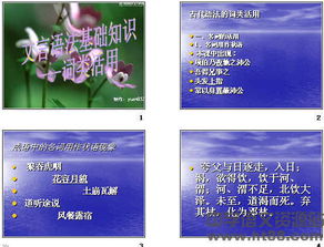 詞類(lèi)的基礎知識