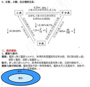 基礎知識,檢測,小升初