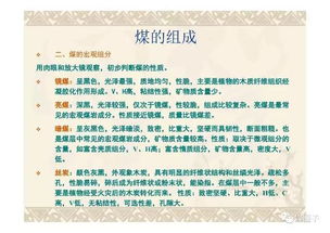 往復式壓縮機的基礎知識幻燈片,煤質(zhì)化驗基礎知識,煤質(zhì)化驗員的基礎知識