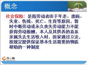 保險基礎知識第360頁(yè)