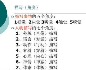 讀小學(xué)語(yǔ)文基礎知識心得