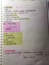 會(huì )計基礎知識學(xué)霸筆記