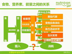 營(yíng)養是基礎知識