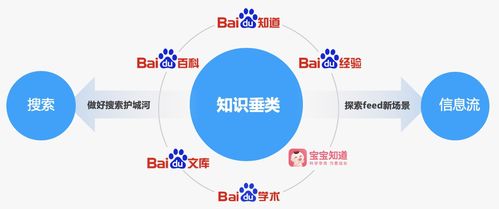少先隊,專(zhuān)業(yè)知識,基礎