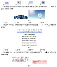 初中信息技術(shù)專(zhuān)業(yè)基礎知識