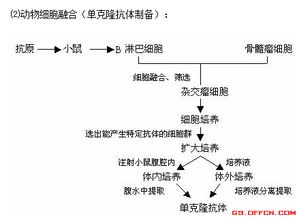 歸納,基礎知識,重點(diǎn)